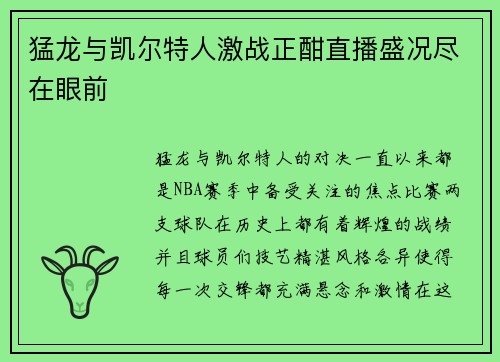 猛龙与凯尔特人激战正酣直播盛况尽在眼前