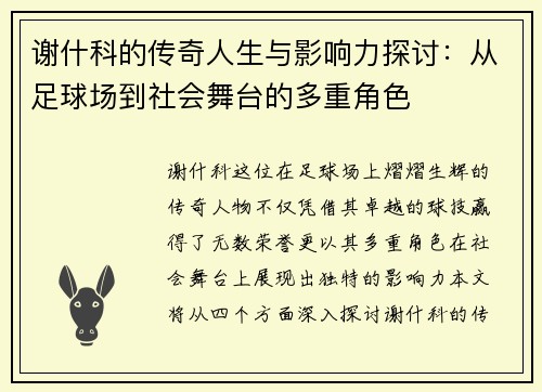 谢什科的传奇人生与影响力探讨：从足球场到社会舞台的多重角色